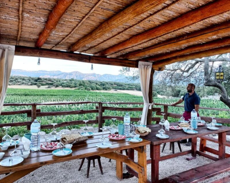 sardinia-dorgali-winery-tour-with-tasting-and-local-guide