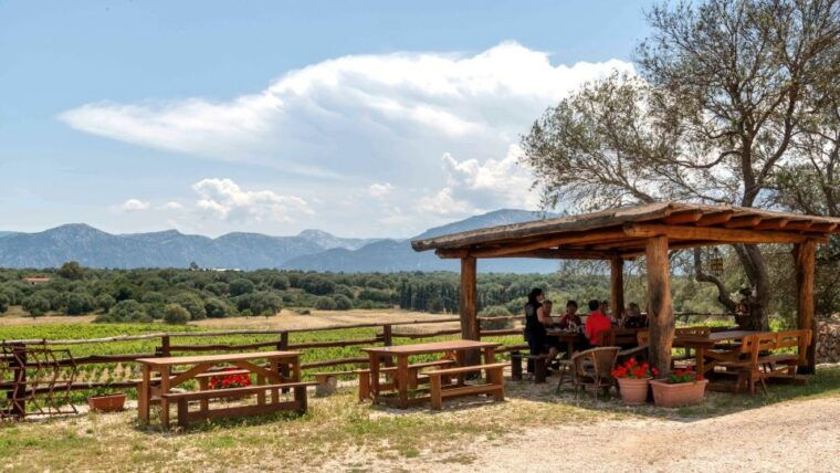 sardinia-dorgali-winery-tour-with-tasting-and-local-guide