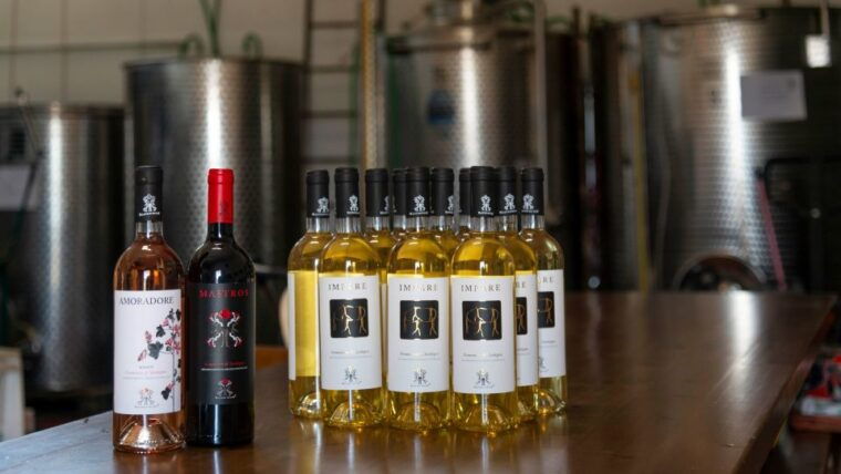 sardinia-dorgali-winery-tour-with-tasting-and-local-guide