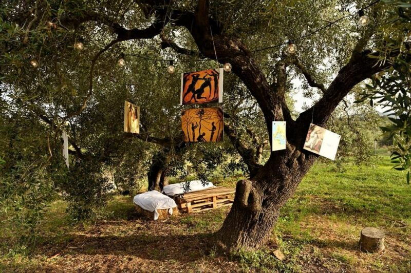 sardinia-food-tour-in-the-oil-mill-with-tasting-at-sunset