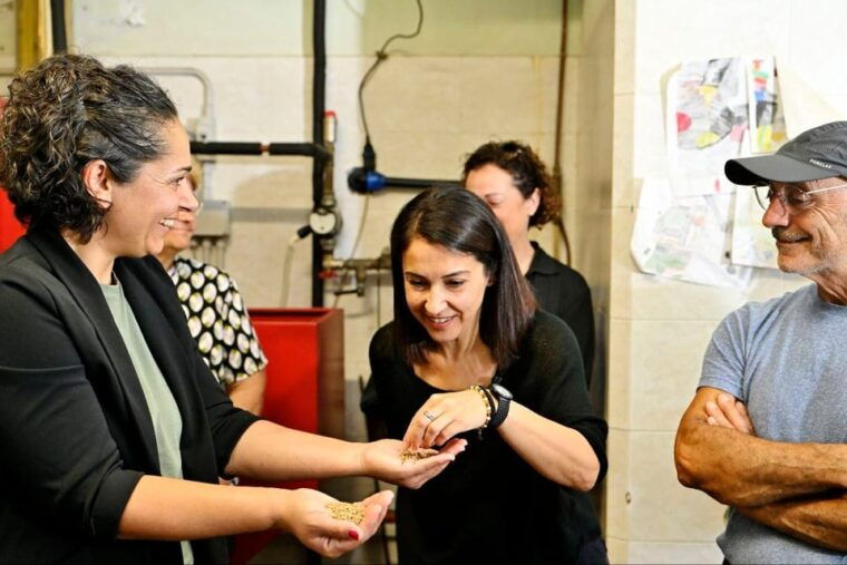 sardinia-food-tour-in-the-oil-mill-with-tasting-at-sunset