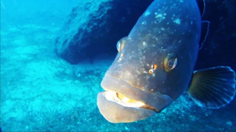 sardinia-la-maddalena-archipelago-first-dive-experience