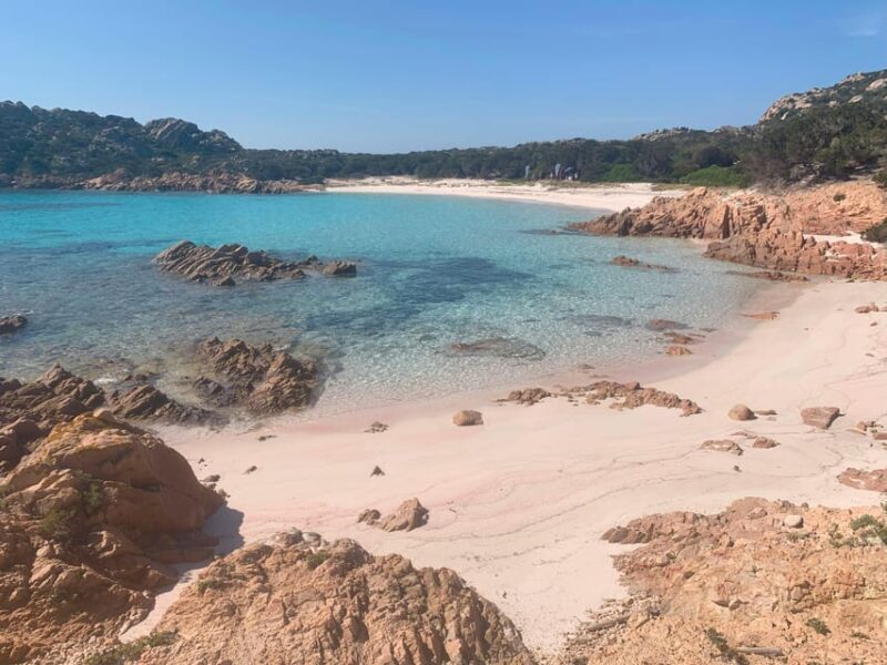 Sardinia: La Maddalena/Palau Catamaran Day Trip with Lunch - Who Will Love This Experience?