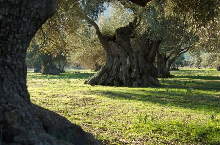 sardinia-mines-and-sea-from-cagliari