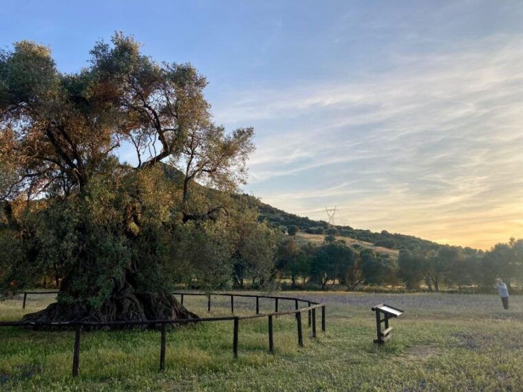 sardinia-mines-and-sea-from-cagliari