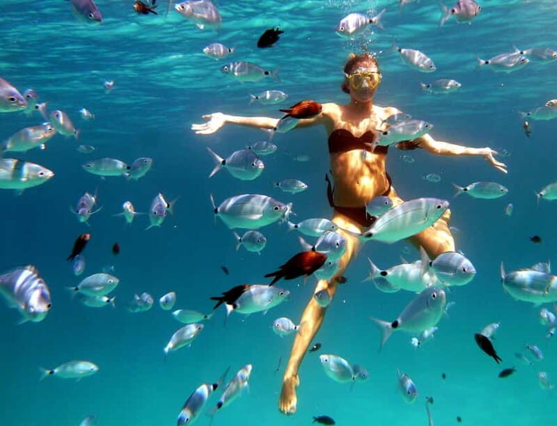 Sardinia: Morning Kayak Tour + Snorkeling and Local Aperitif - A Detailed Look at the Sardinian Kayak and Snorkeling Tour