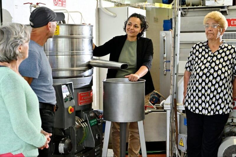 sardinia-tour-in-the-world-of-extra-virgin-olive-oil