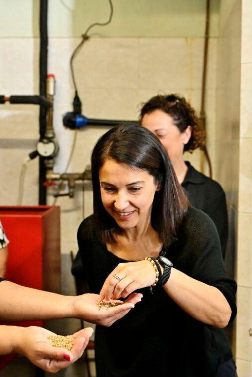 sardinia-tour-in-the-world-of-extra-virgin-olive-oil