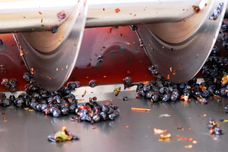 Sardinia: Winery Tour and Wine Tasting Experience - An In-Depth Look at the Sardinian Winery Tour
