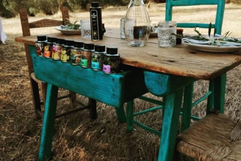 sardinian-olive-oil-tasting-picnic-among-the-olive-trees