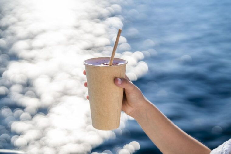 sarenal-sunset-catamaran-cruise-with-bbq