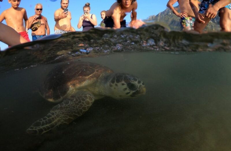 sarigerme-dalyan-turtle-beach-mud-bath-king-tombs-tour
