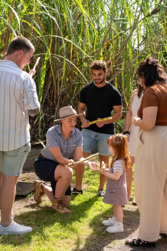 Sarina: Sarina Sugar Shed Guided Tour with Tastings - Introduction