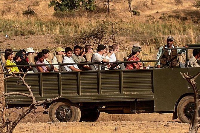 Sariska Tiger Reserve Safari Tickets (Skip The Line) - Who Should Consider This Tour?