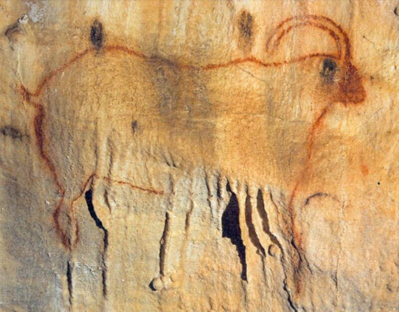 sarlat-private-tour-to-an-original-prehistoric-cave