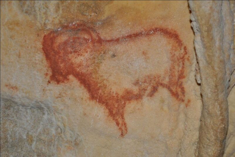 sarlat-private-tour-to-an-original-prehistoric-cave