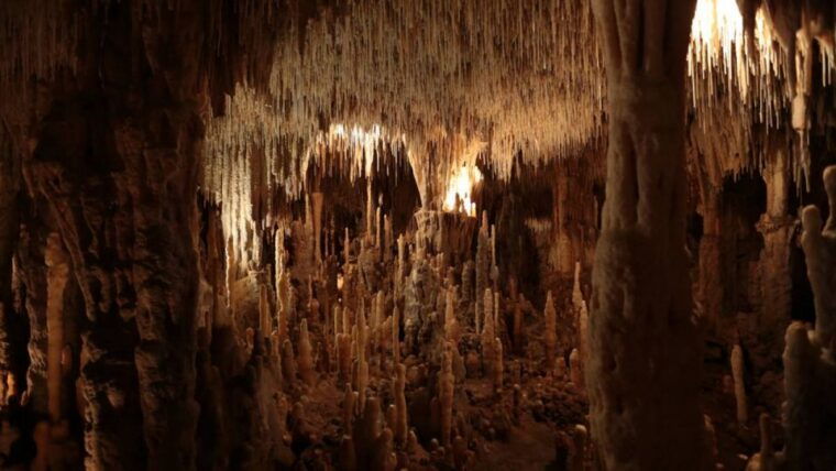 sarlat-private-tour-to-prehistoric-cave-medieval-castle