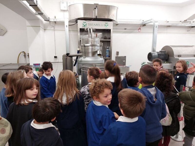 sarteano-visit-to-the-mill-and-oil-tasting