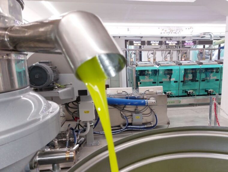 sarteano-visit-to-the-mill-and-oil-tasting