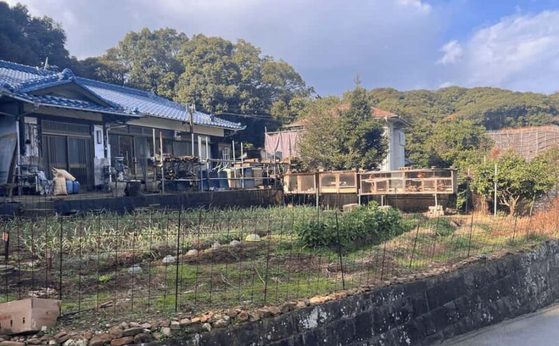 Sasebo: Farmhouse Visit with Goats, Tea, and Lunch - Who Will Love This Experience?