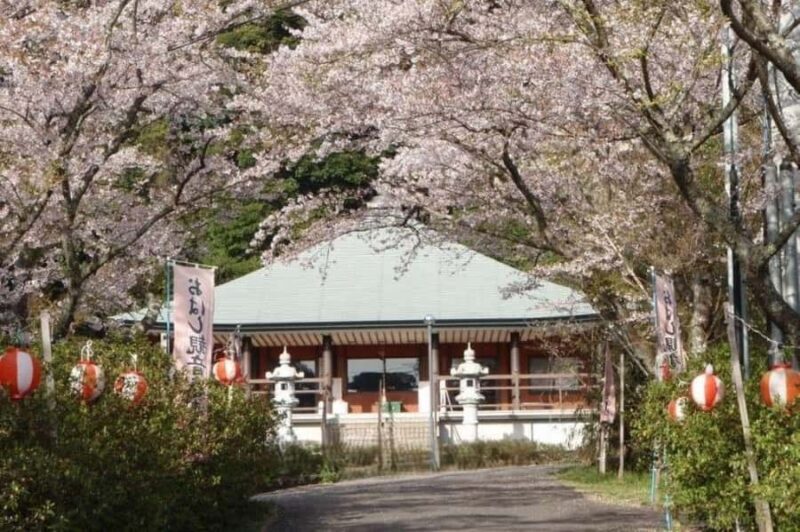 Sasebo: History, Crafts, and Sights Guided Tour with Lunch - Practical Details and Value