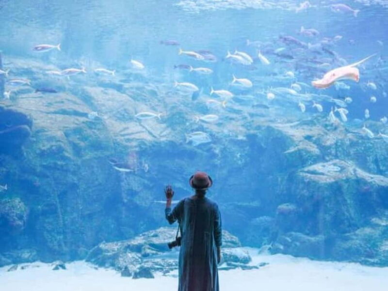 Sasebo: Kujukushima Cruise, Sushi, and Calligraphy Tour - Who Would Love This Tour?