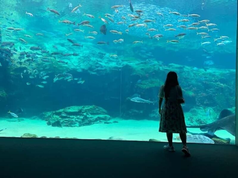 Sasebo: Sea, Culture, Spirit and Kujukushima Island - Final Thoughts