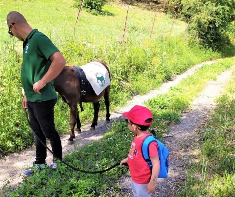 sassari-hiking-with-donkeys-in-cargeghe-and-aperitif