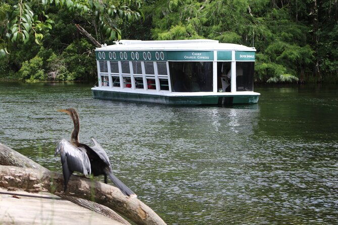 sassys-silver-springs-kayak-and-paddleboard-tours-2