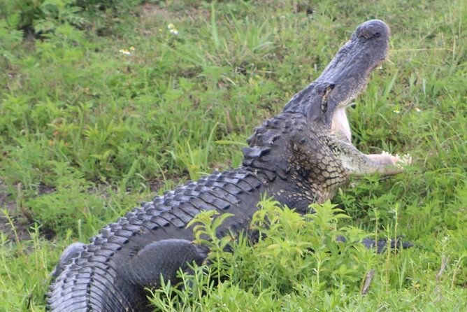 sassys-silver-springs-kayak-and-paddleboard-tours-2