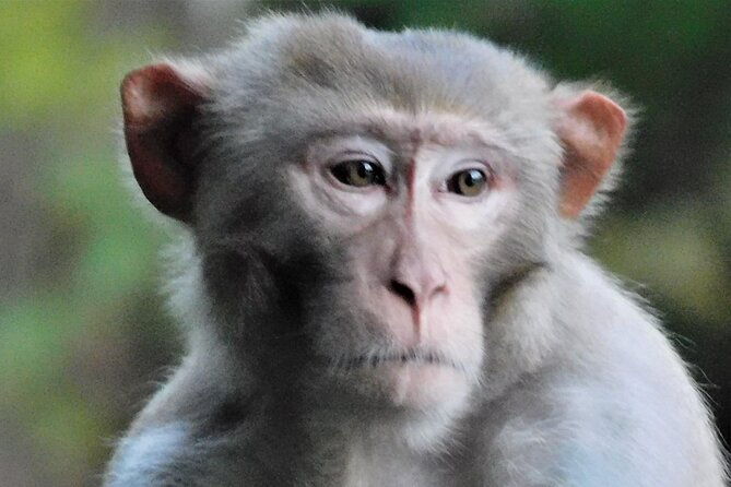 sassys-silver-springs-kayak-and-paddleboard-tours-2