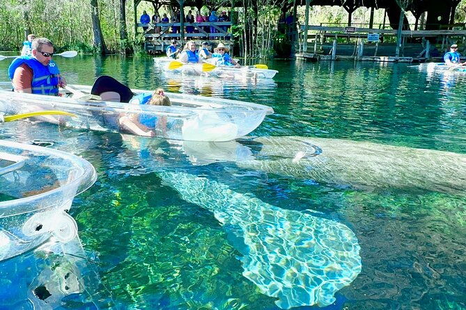 sassys-silver-springs-kayak-and-paddleboard-tours