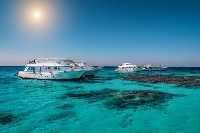 Sataya Dolphin House Boat Trip in Marsa Alam - An In-Depth Look at the Sataya Dolphin House Boat Trip