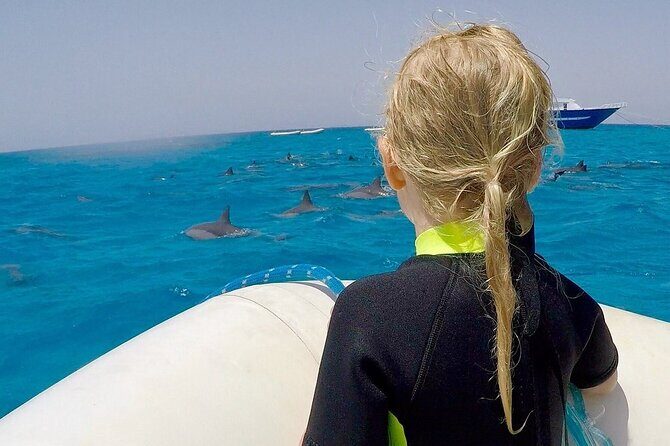 Sataya Dolphin House Snorkel Trip - Marsa Alam - Tips for Making the Most of Your Trip