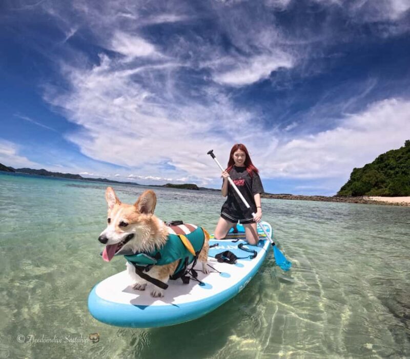 Sattahip: Private Half Day Snorkeling tour - Authentic Experiences from Past Travelers