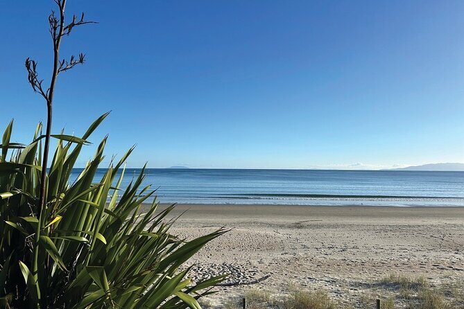 Saturday Sights and Flavours Tour - A Close Look at the Waiheke Sights and Flavours Tour