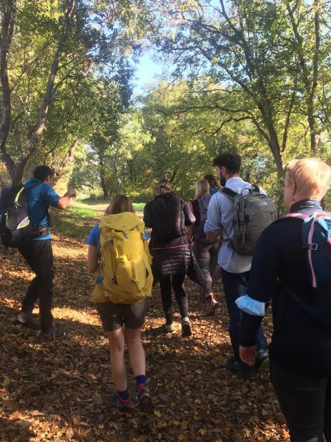 saturnia-the-misterious-healing-waters