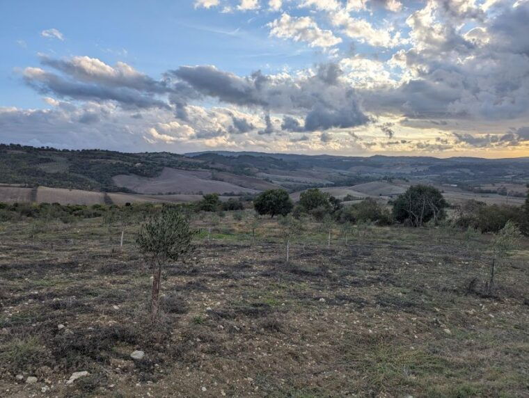 saturnia-the-misterious-healing-waters