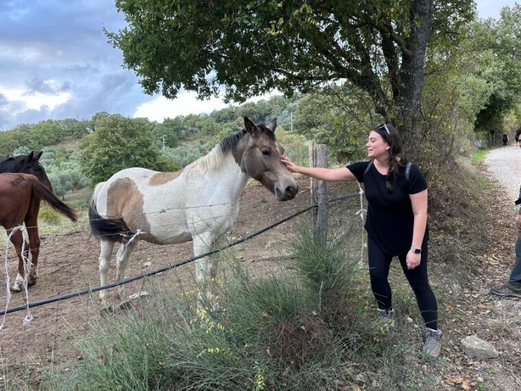 saturnia-the-misterious-healing-waters