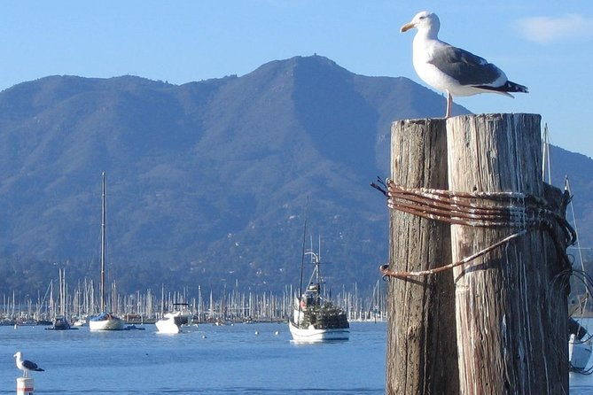 sausalito-ferry-from-pier-41-san-francisco