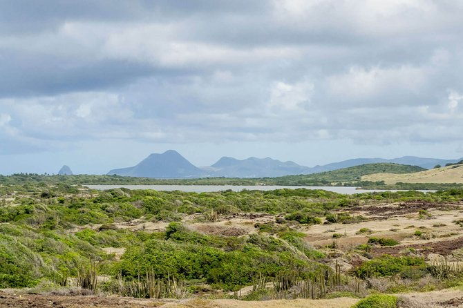 savane-des-petrifications-hike