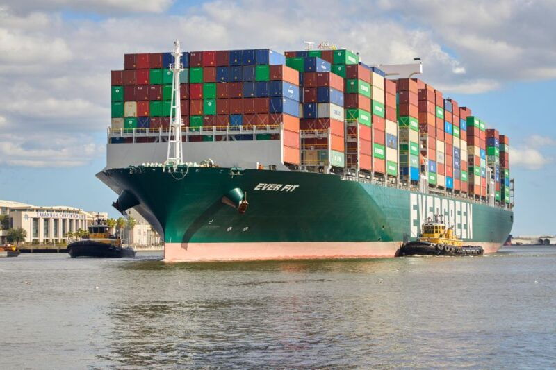 savannah-dolphin-spotting-and-wildlife-eco-cruise
