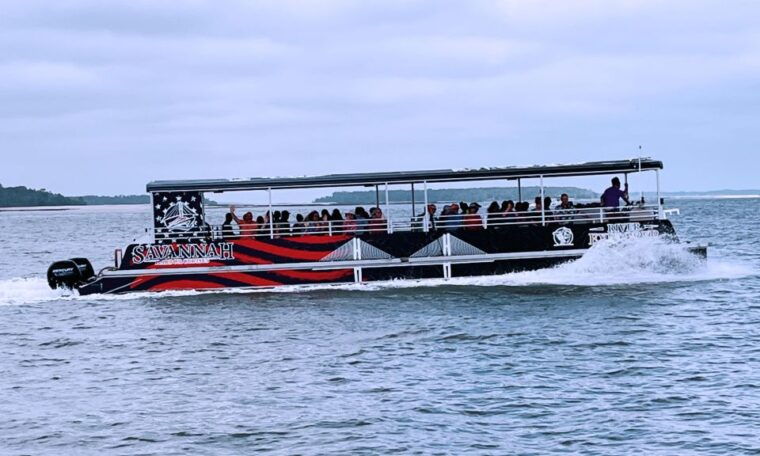 savannah-dolphin-spotting-and-wildlife-eco-cruise