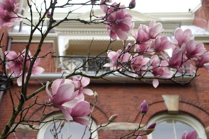 Savannah Historic District Walking Tour - Practical Details & Tips for Your Tour