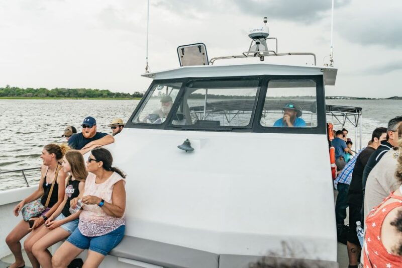 savannah-tybee-island-dolphin-tour