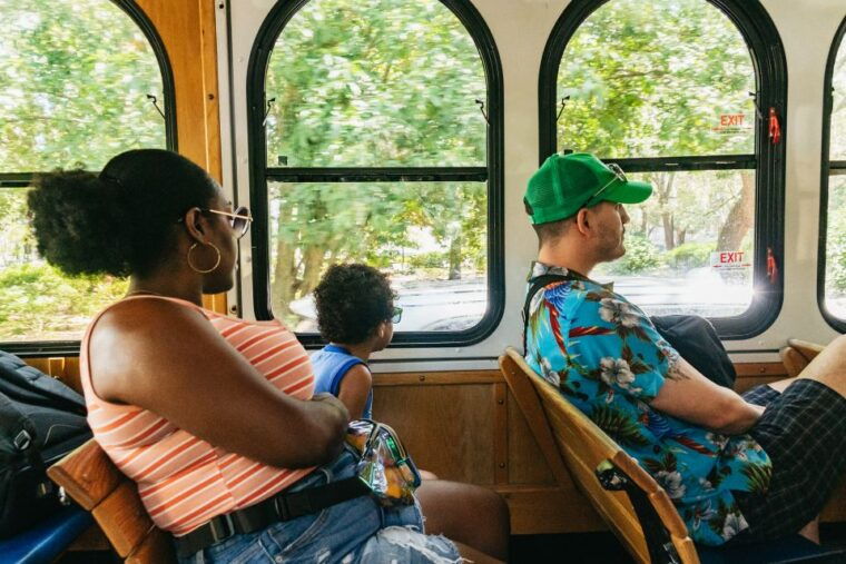savannah-tybee-island-dolphin-tour