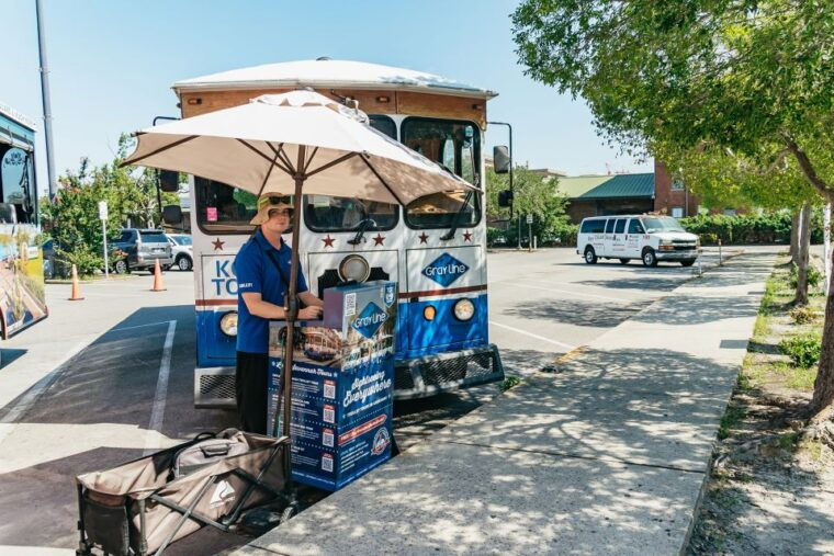 savannah-tybee-island-dolphin-tour