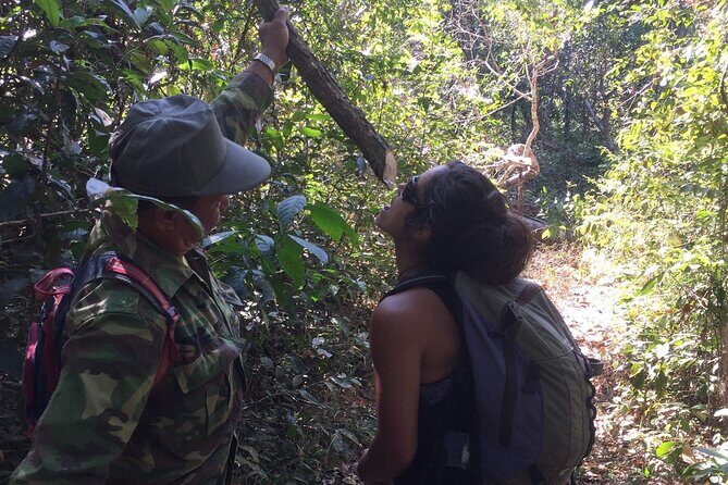 Savannakhet outskirt Day Trip Dong Natad Trekking - The Practical Aspects