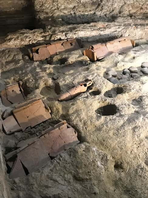 Savona: Guided visit to the Civic Archaeological Museum and the City of Savona - Who Will Love This Tour?