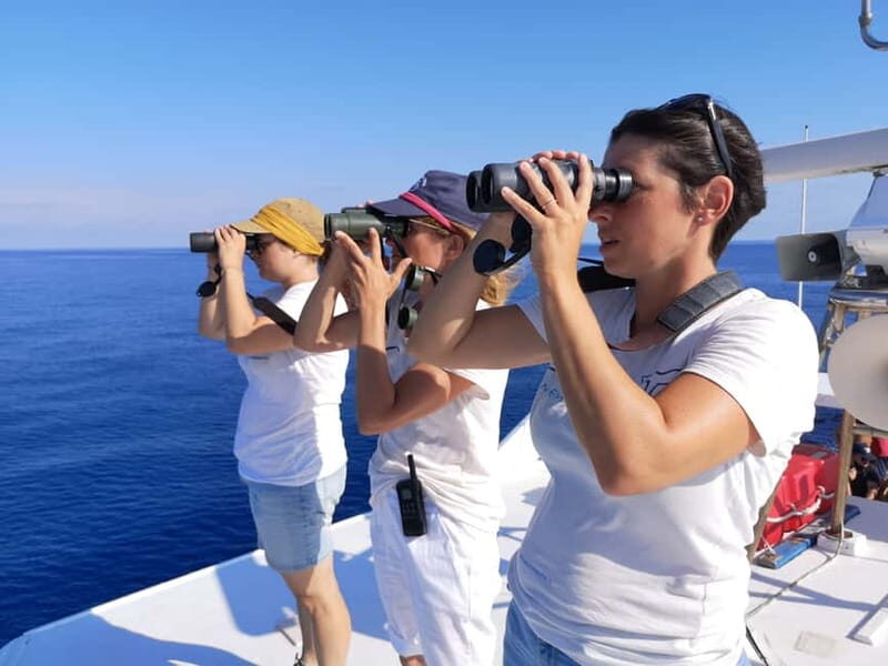 Savona: Pelagos Sanctuary Guided Cetacean Watching Tour - An In-Depth Look at the Cetacean Watching Experience
